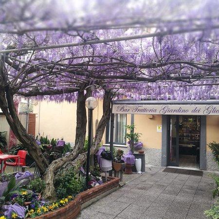 Giardino Dei Glicini